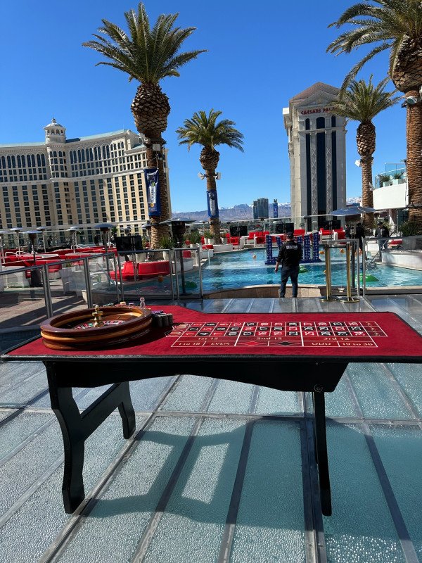 Casino Night Roulette Table
